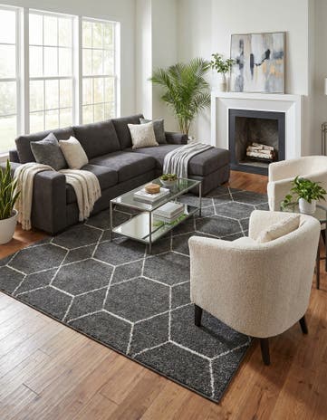 10' x 14' Lattice Frieze Rug