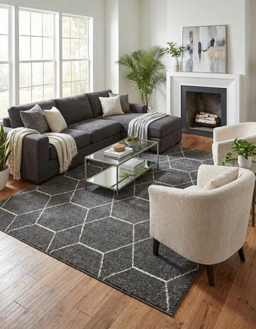 10' x 14' Lattice Frieze Rug