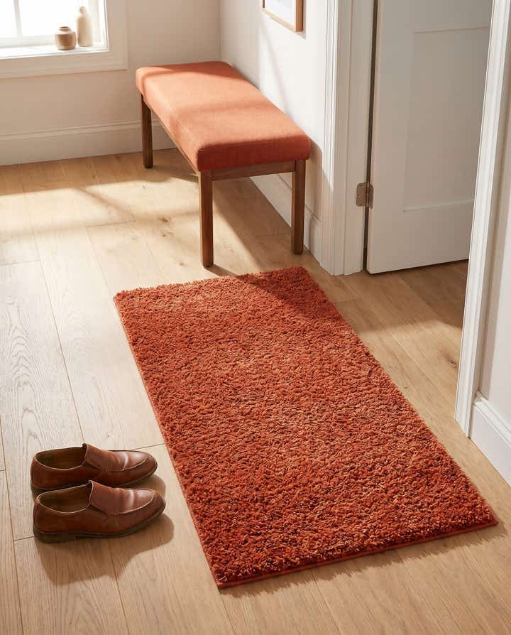2' x 4' Solid Shag Runner Rug