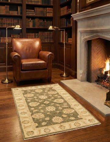 3' x 4' 10 Hand Knotted Peshawar Ziegler Rug