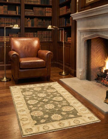 3' x 4' 10 Hand Knotted Peshawar Ziegler Rug