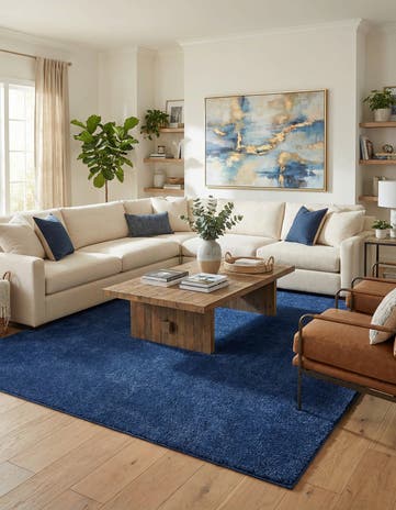 10' x 13' Solid Frieze Rug