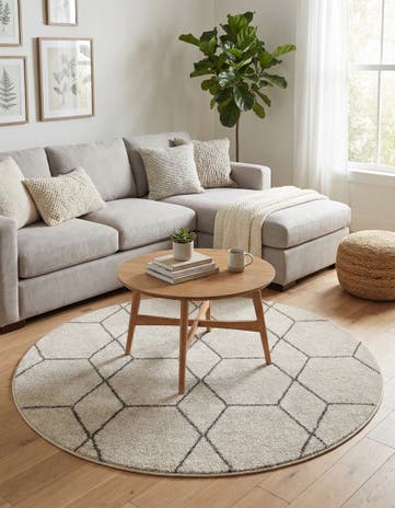5' 3 x 5' 3 Lattice Frieze Round Rug