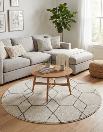 5' 3 x 5' 3 Lattice Frieze Round Rug