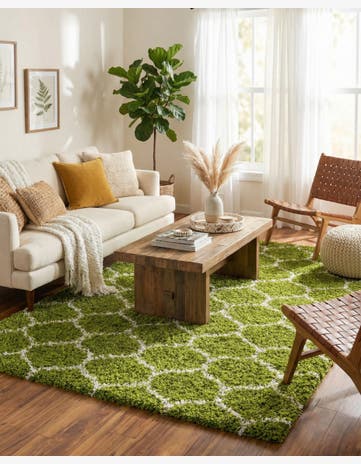 10' 8 x 14' Trellis Shag Rug