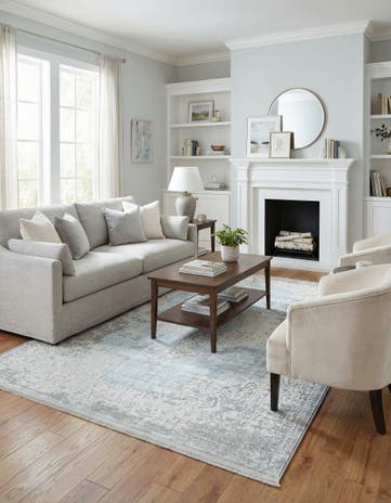 5' x 8' Modern Classical Rug