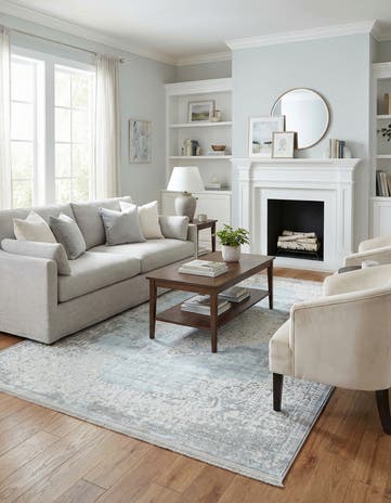 5' x 8' Modern Classical Rug