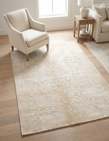 3' 11 x 5' 9 Darya Rug