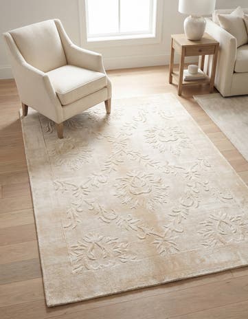 3' 11 x 5' 9 Darya Rug