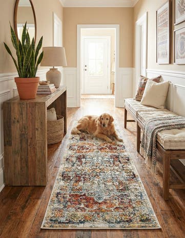 2' x 6' Isabella Runner Rug