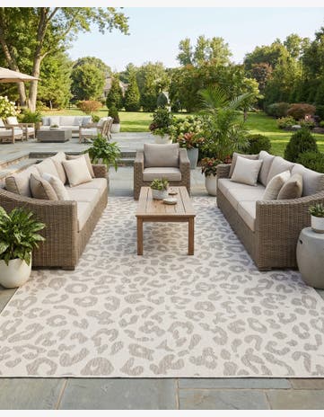 Ivory Gray Easy-Clean Safari Indoor / Outdoor Rug