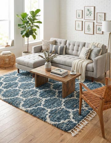 5' x 8' Athena Shag Rug