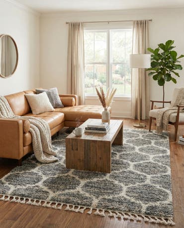  8' x 10' Athena Shag Rug