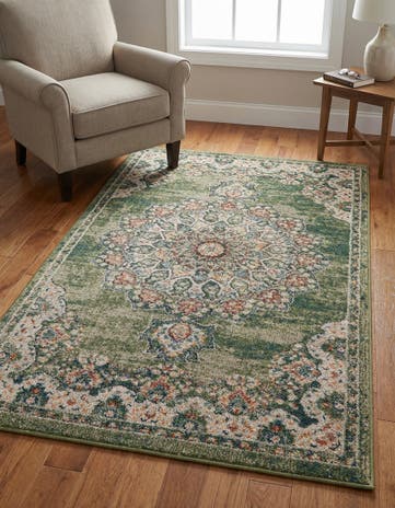 3' 3 x 5' 3 Isabella Rug