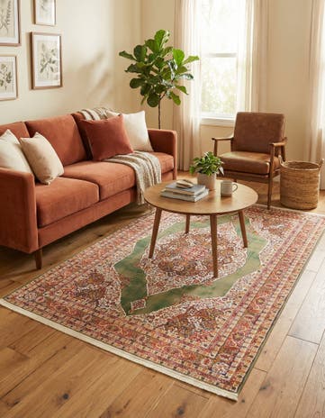 4' 3 x 6' Santiago Rug