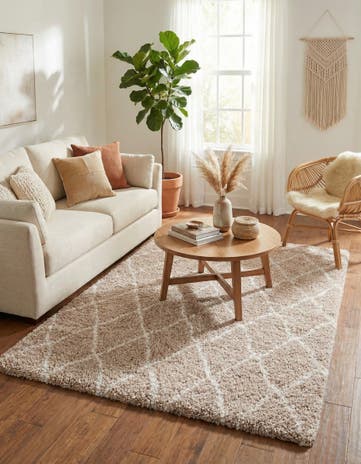 4' x 6' Moroccan Shag Rug