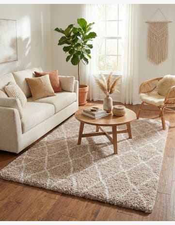 4' x 6' Marrakesh Shag Rug