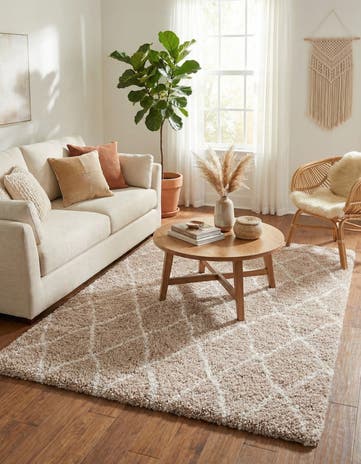 4' x 6' Moroccan Shag Rug