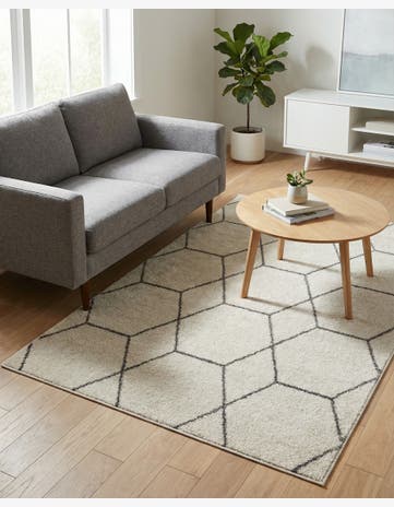 3' x 5' 3 Trellis Frieze Rug