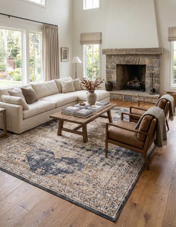 10' x 14' 5 Villa Rug