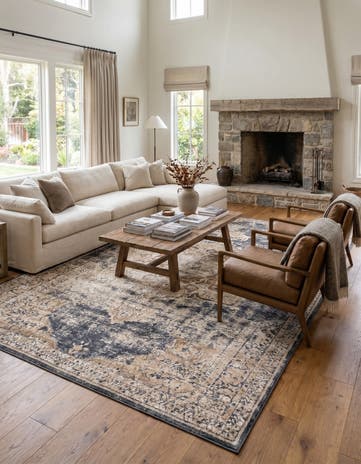 10' x 14' 5 Villa Rug