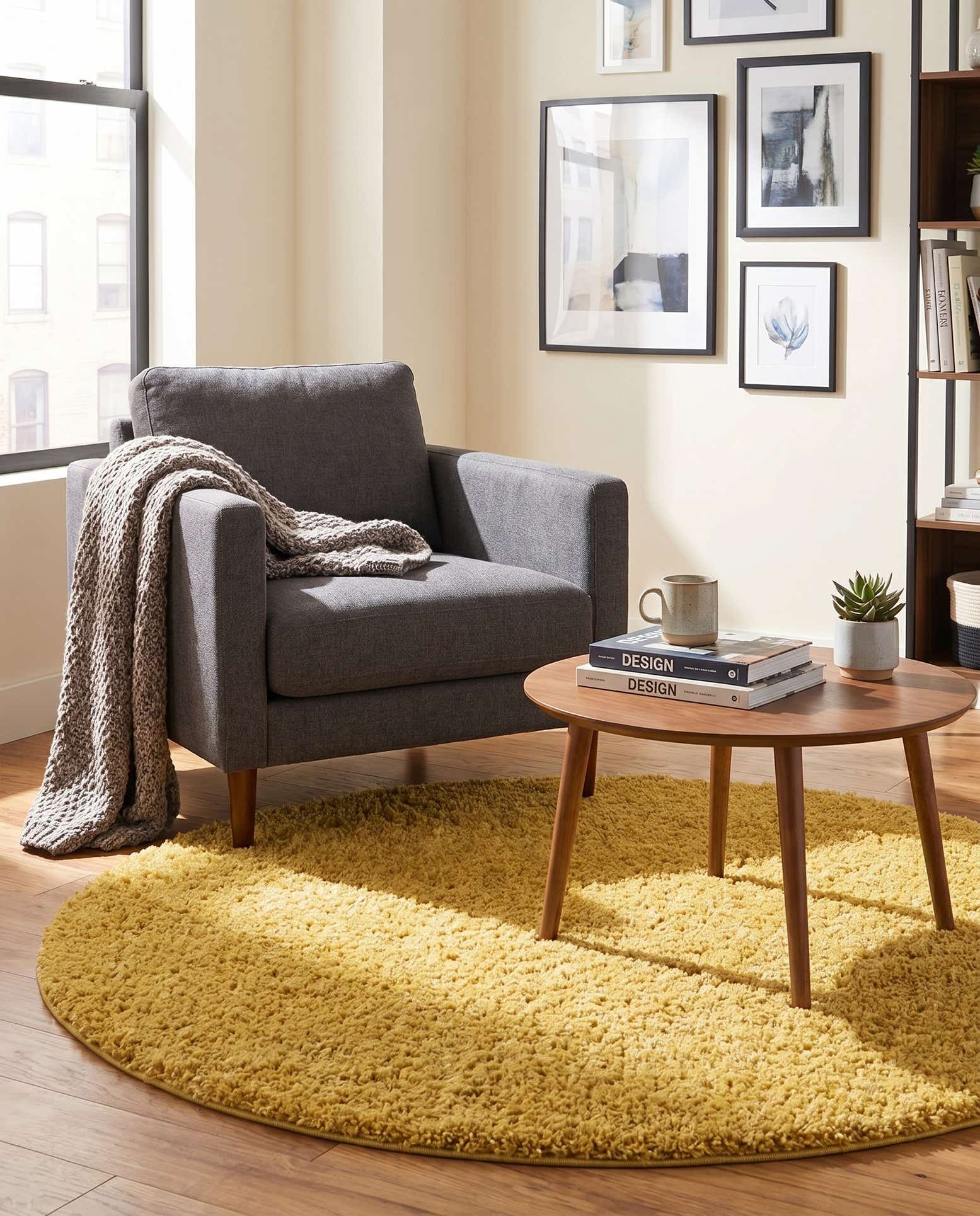 5' x 5' Everyday Shag Round Rug
