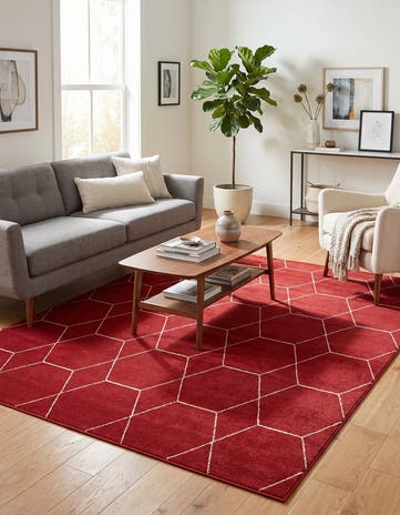 7' 10 x 10' Lattice Frieze Rug