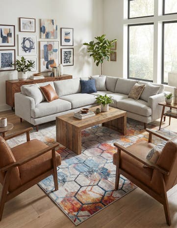 10' x 13' Andromeda Rug