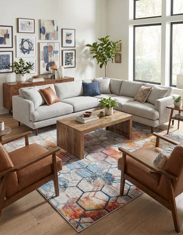 10' x 13' Andromeda Rug