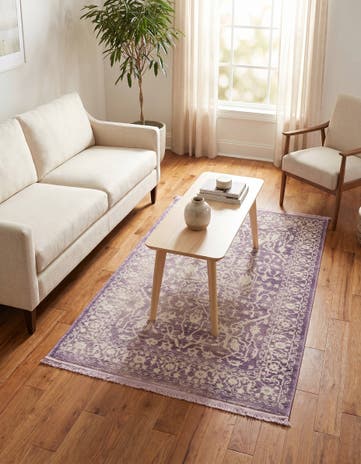 3' 3 x 5' 3 Modern Classical Rug