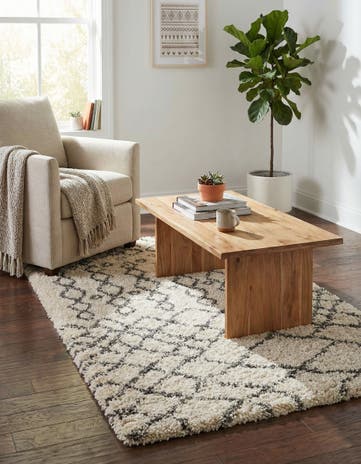 3' 3 x 5' 3 Moroccan Shag Rug