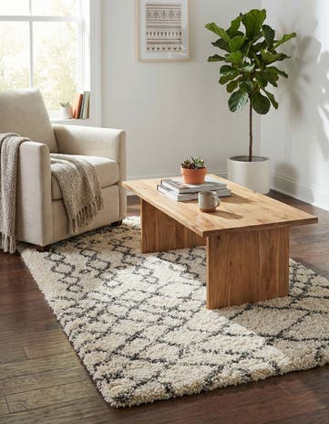 3' 3 x 5' 3 Moroccan Shag Rug