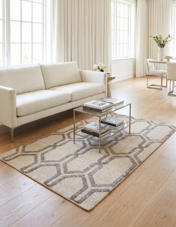 3' 9 x 5' 9 Hand Knotted Darya Rug