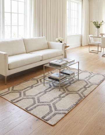 3' 9 x 5' 9 Hand Knotted Darya Rug