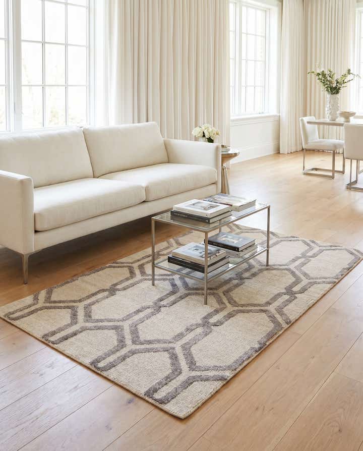 3' 9 x 5' 9 Hand Knotted Darya Rug