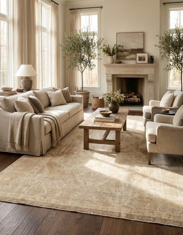 8' 3 x 10' 3 Hand Knotted Oushak Wool Rug