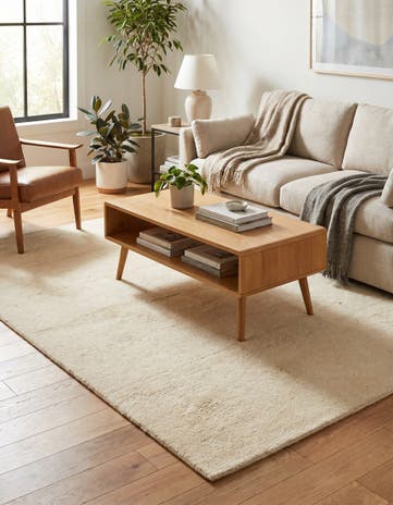 4' 1 x 6' Hand Knotted Gabbeh Wool Rug