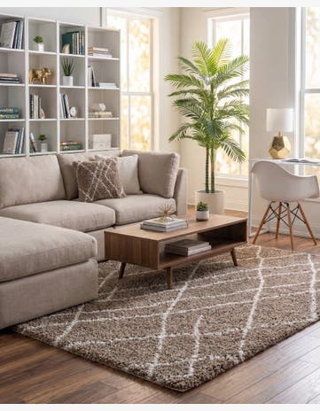 9' 10 x 13' Soft Touch Shag Rug