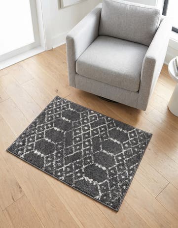 2' x 3' Paxon Trellis Rug