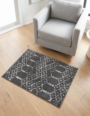 2' x 3' Paxon Trellis Rug