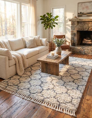 8' x 10' Athena Shag Rug