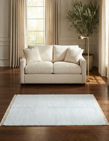 3' 11 x 5' 11 Darya Rug