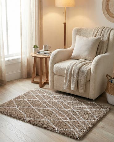  2' x 3' Soft Touch Shag Rug