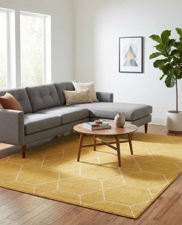  7' 10 x 10' Lattice Frieze Rug