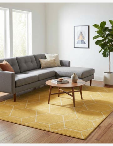 7' 10 x 10' Trellis Frieze Rug