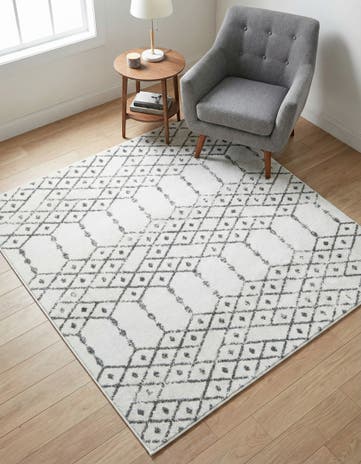 5' 3 x 5' 3 Paxon Trellis Square Rug