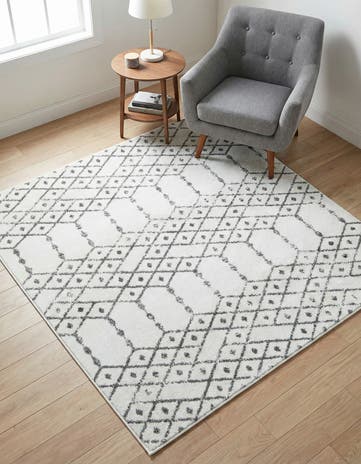 5' 3 x 5' 3 Paxon Trellis Square Rug