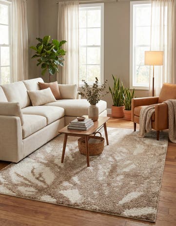 Beige and Ivory Soft Touch Shag Rug
