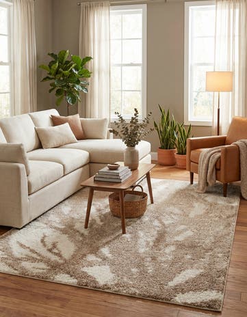 Beige and Ivory Soft Touch Shag Rug
