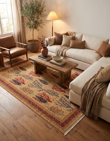 245cm x 305cm Kashkuli Gabbeh Tapis